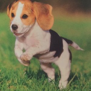 Meet your Posher, Cathy